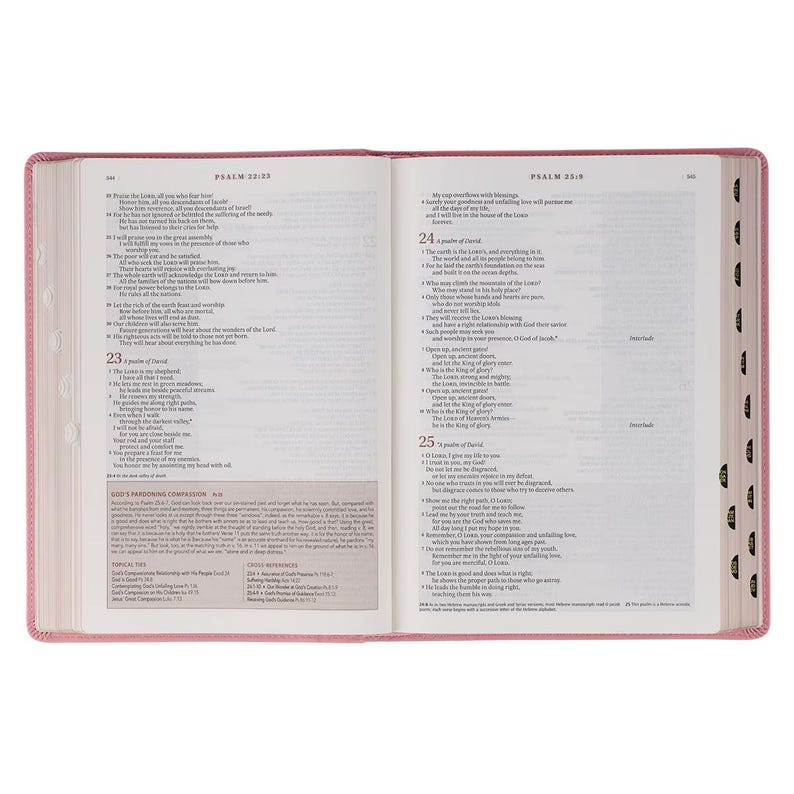 May include: Open Bible with pink cover, displaying text from Psalms 23:23 and 23:9. The pages are white with black text. The binding is pink with a decorative pattern. The Bible is open, showing two facing pages.