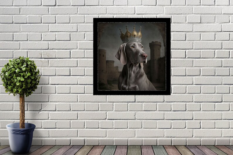 May include: A gray Weimaraner dog wearing a gold and silver crown, set against a backdrop of a medieval castle.