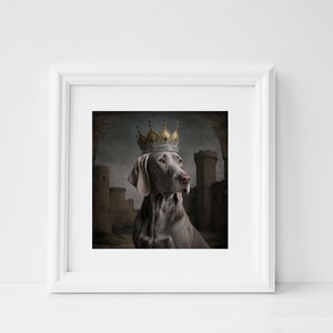 May include: A gray Weimaraner dog wearing a gold and silver crown, looking to the right, with a castle in the background.