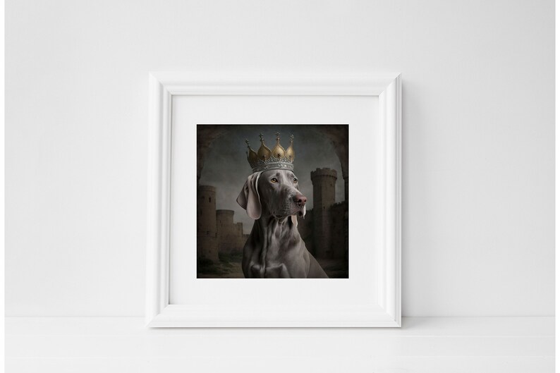 May include: A gray Weimaraner dog wearing a gold and silver crown, looking to the right, with a castle in the background.