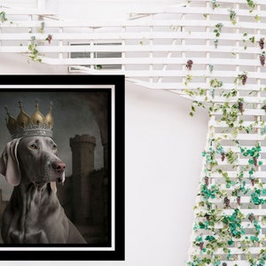May include: A gray Weimaraner dog wearing a gold and silver crown, posed in front of a stone castle backdrop.