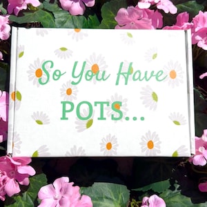 May include: A white box decorated with a daisy pattern and the text "So You Have POTS..." in green and white. The box is surrounded by pink flowers and green leaves.