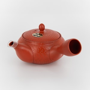 Tokoname Kyusu – Red Clay Teapot with Carved Texture