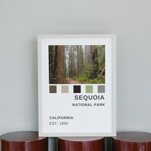 Sequoia National Park Digital Download | Wall Art | National Park Poster |