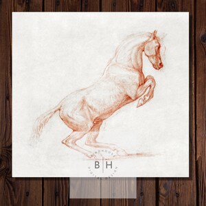 A Prancing Horse PRINTABLE ART PRINT - Digital Download in 4 files, High Res - Perfect for Wall Art, Office Art, Dorm