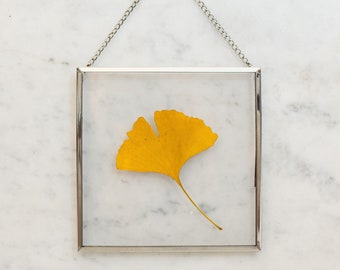 Ginkgo leaf in silver frame | Ginkgo Deco | Wall decoration ginkgo leaf | gingko leaf | gingko image | ginkgo | girlfriend gift | Friendship