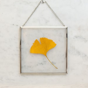 Ginkgo leaf in a silver frame | Ginkgo decoration | Ginkgo leaf wall decoration | Gingko leaf | Gingko picture | Ginko | Girlfriend gift | Friendship