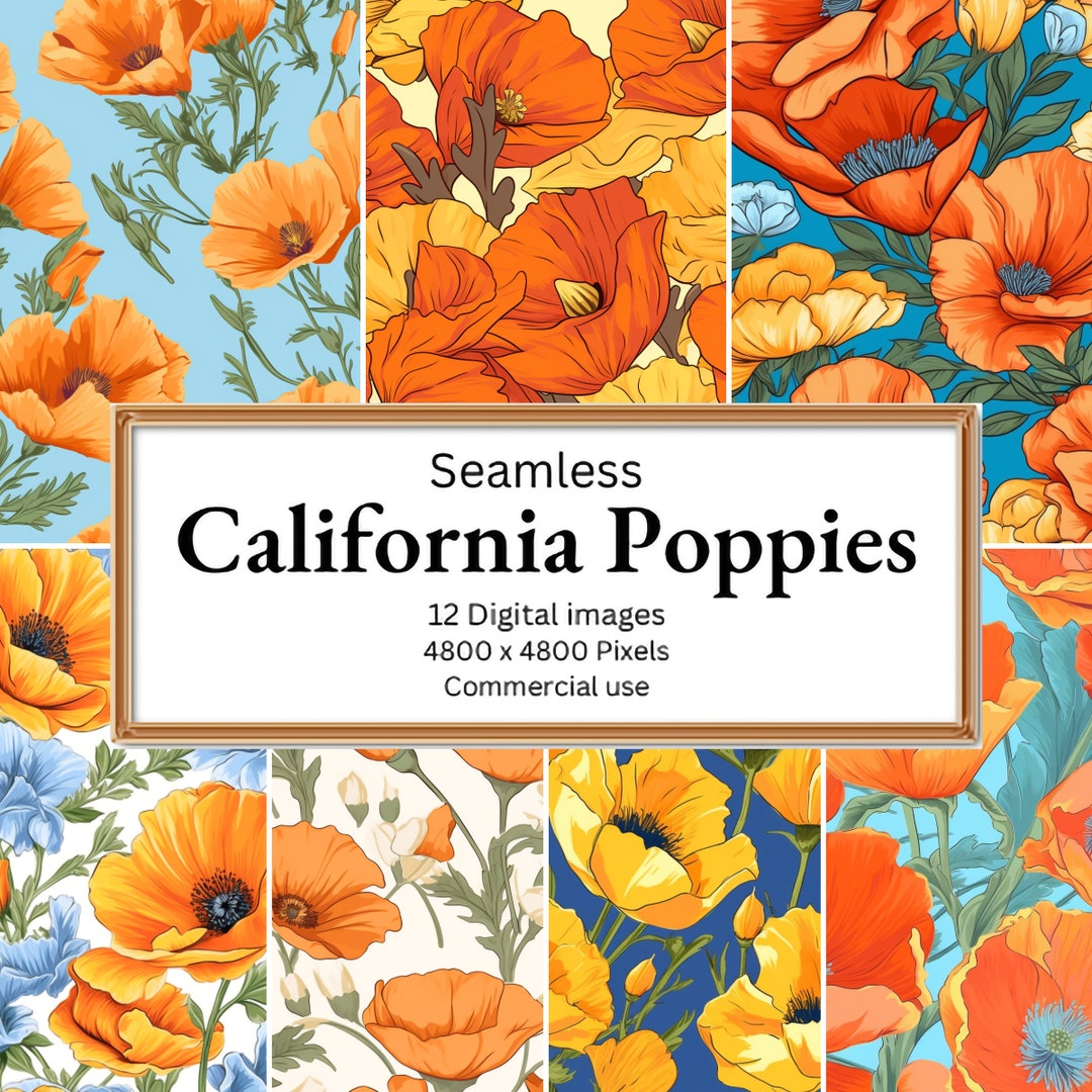 California Poppies Digital Paper Seamless Poppy Patterns in PNG Format ...