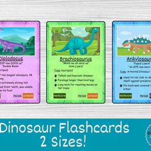 Dinosaur Flashcards for Kids: Dino Facts, Diet & Pronunciation (Digital Download)