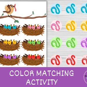 Color Matching Activity: Preschool Printable Worksheet (Digital Download)