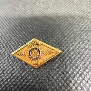 Vintage Rotary International Pins - Etsy
