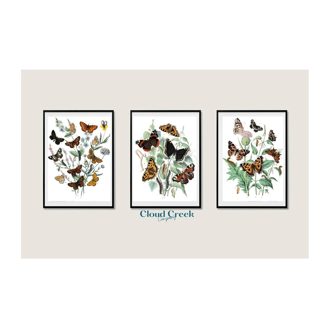 Printable Vintage Wall Art Set Antique Prints Butterflies & Etsy