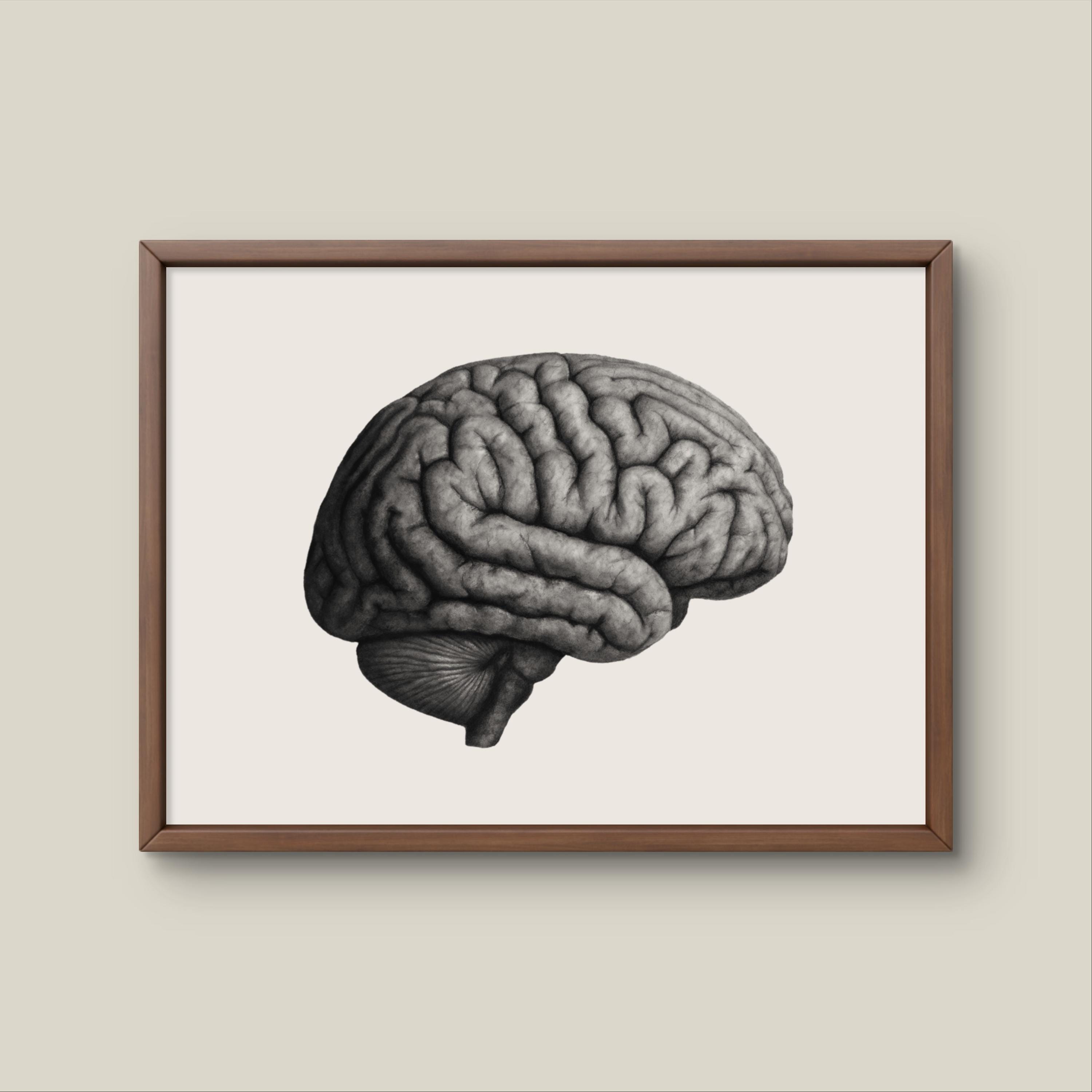 The Brain - Limited Edition Print Handmade Charcoal Fine Art