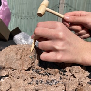 Fun, Educational Digging Uncover Real Historical Treasures Archaeology Dig Kit Treasure Hunt Activity Learn and play Discover History image 4
