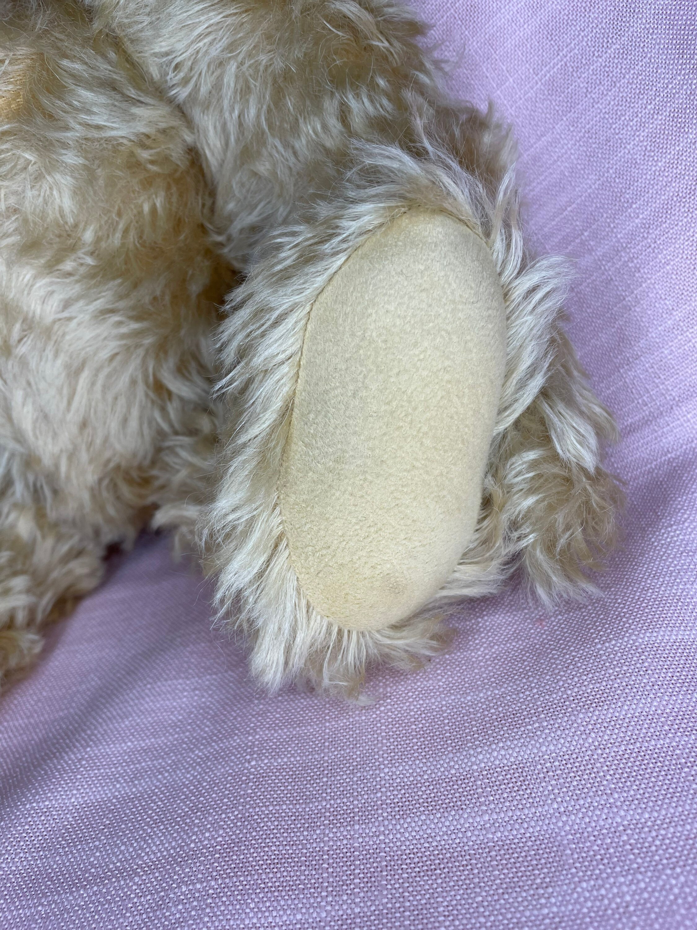 Steiff Year 2000 Teddy Bear - Etsy