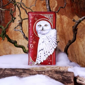 Magical Flight Embossed 7 Inch Owl Wallet