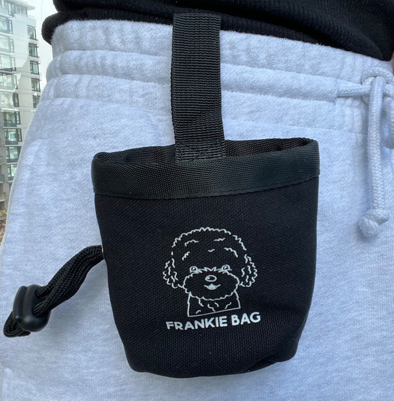 Small Dog Treat Bag Etsy Canada