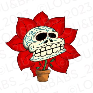 Könnte beinhalten: Eine rote Weihnachtsstern-Blume mit einem weißen Zucker-Schädelgesicht in der Mitte. Die Blume steht in einem braunen Topf.