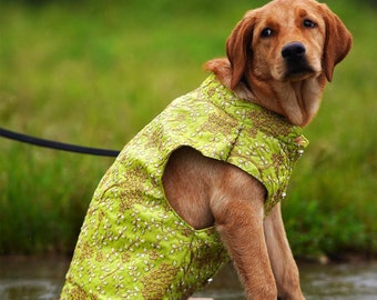 Sherwani for dog & cat | Indian dog outfit | Desi dog outfit, Dog jacket, pet clothing, pet party wear outfit, dog wedding outfit, Diwali