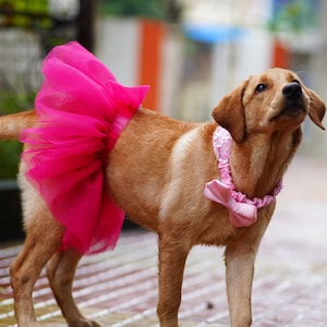 Pet outfit | tutu skirt | pet party wear | pet skirt | pet clothes | party wear for dogs and cats hot pink colour