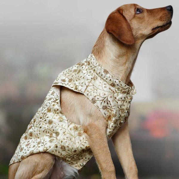 Sherwani for dog & cat | Indian dog outfit | Desi dog outfit, Dog outfit, pet clothing, pet wedding outfit, dog wedding outfit, Diwali