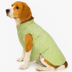 Dog Sherwani: Indian Wedding Outfit for Cat or Small Dog