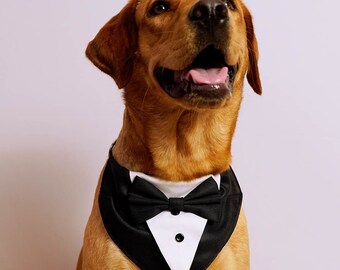 Hond Tuxedo Bandana bruiloft kostuum strikje accessoire kraag, hond beste man stalknecht ringdrager formele gebeurtenis over de kraag