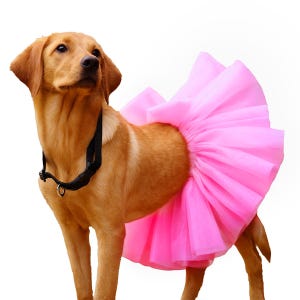 Pet outfit | tutu skirt | pet party wear | pet skirt | pet clothes | party wear for dogs and cats