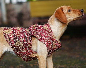 Sherwani for dog & cat | Indian dog outfit | Desi dog outfit, Dog jacket, pet clothing, pet party wear outfit, dog wedding outfit, Diwali