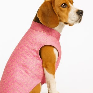 Dog Sherwani: Indian Wedding Outfit - Desi Pet Clothing