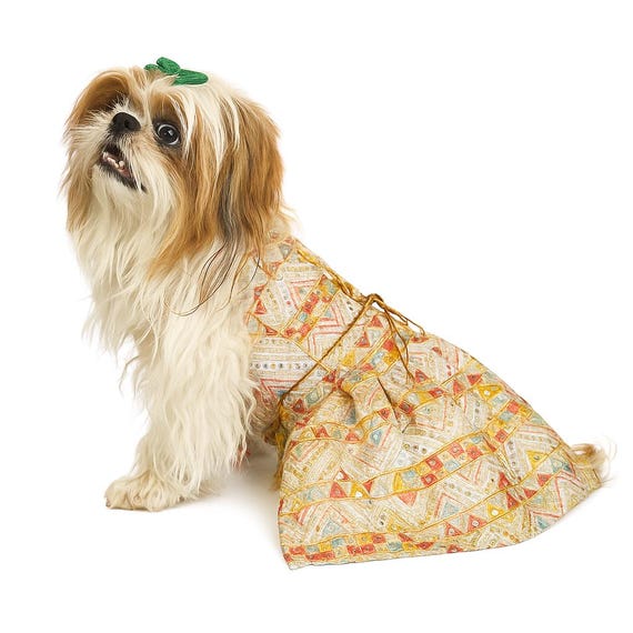 Indian Dog Clothes: Stylish and Cozy Outfits