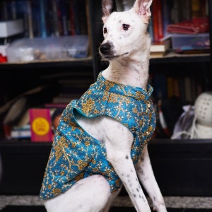 Sherwani for dog & cat Indian dog outfit Desi dog outfit, Dog outfit, pet clothing, pet wedding outfit, dog wedding outfit, Diwali image 6