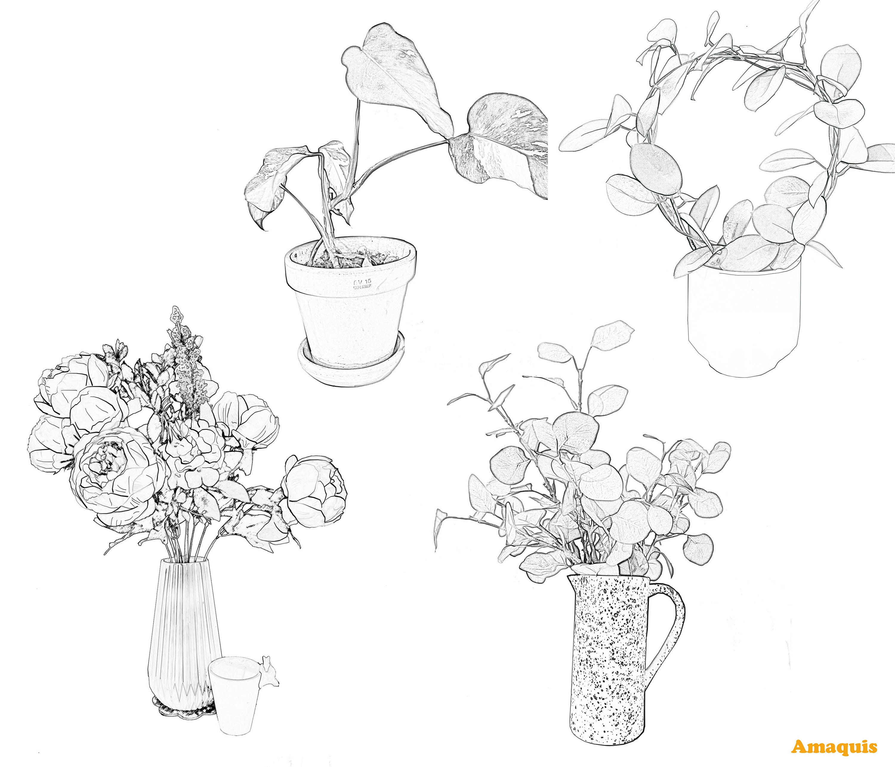 Four Plant Flower Coloring Pages Skecth Like Printable PDF Download Etsy