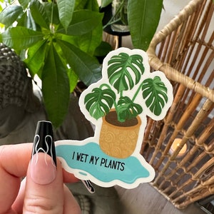 Adesivo Monstera, bagna le mie piante