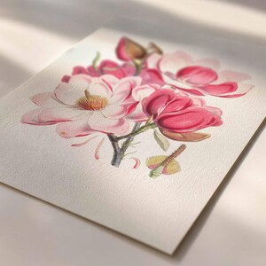 Peut inclure: Une illustration botanique imprim&eacute;e sur du papier textur&eacute; repr&eacute;sentant un groupe de fleurs de magnolia. L'&oelig;uvre pr&eacute;sente des fleurs dans des tons de rose tendre, magenta profond et blanc, avec des &eacute;tamines jaunes et une tige gris fonc&eacute;.