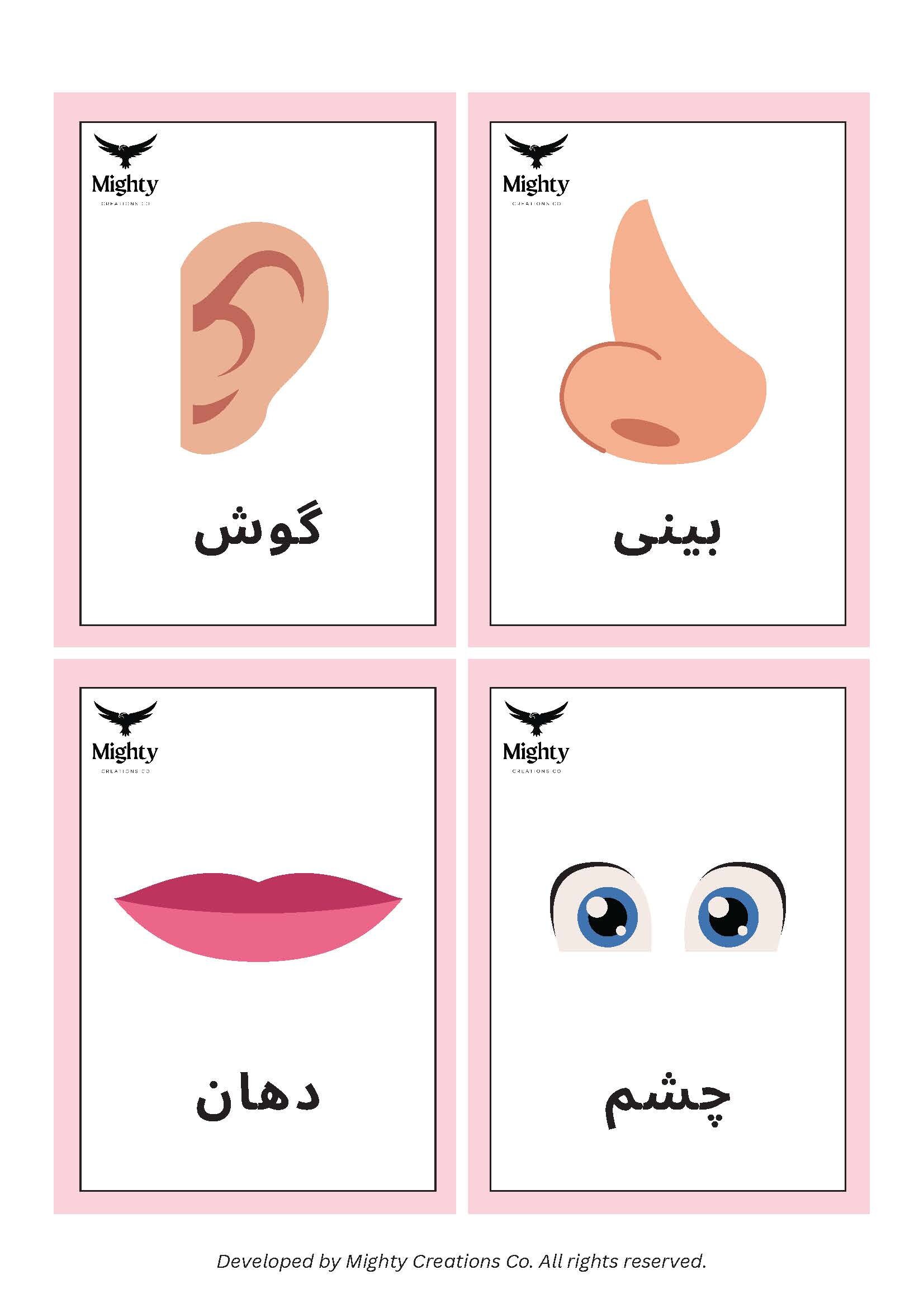 Digital Printable Farsi/persian Body Parts Flashcards - Etsy