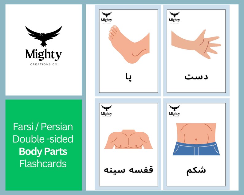 Digital Printable Farsi/persian Body Parts Flashcards - Etsy