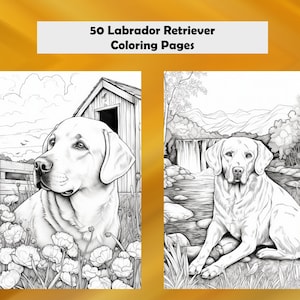 Labrador Retriever Coloring Pages, 50 Labrador Retriever Coloring Printable PDF Pages, Instant Download PDF Coloring Prints PDF