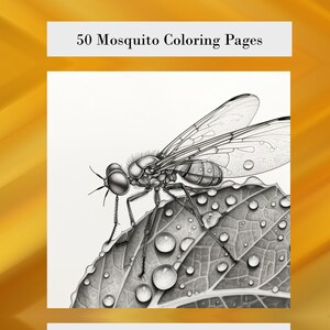 Mosquito Coloring Pages: 50 Printable Insect Illustrations (PDF)