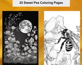 Sweet Pea Flower Coloring Pages, 25 Sweet Pea Coloring Printable PDF Pages, Sendo Coloring Sweet Pea Pack 1, Instant Download PDF Coloring