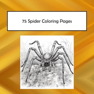 Spider Coloring Pages, 75 Spider Printable PDF Pages, Sendo Coloring Spider, Instant Download PDF Coloring Pages