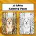 15 Akita Coloring Pages, Printable PDF Dog Coloring Pages, Coloring ...