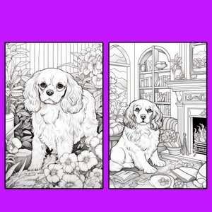 50 Cavalier King Charles Spaniel Coloring Pages, Printable PDF Dog ...