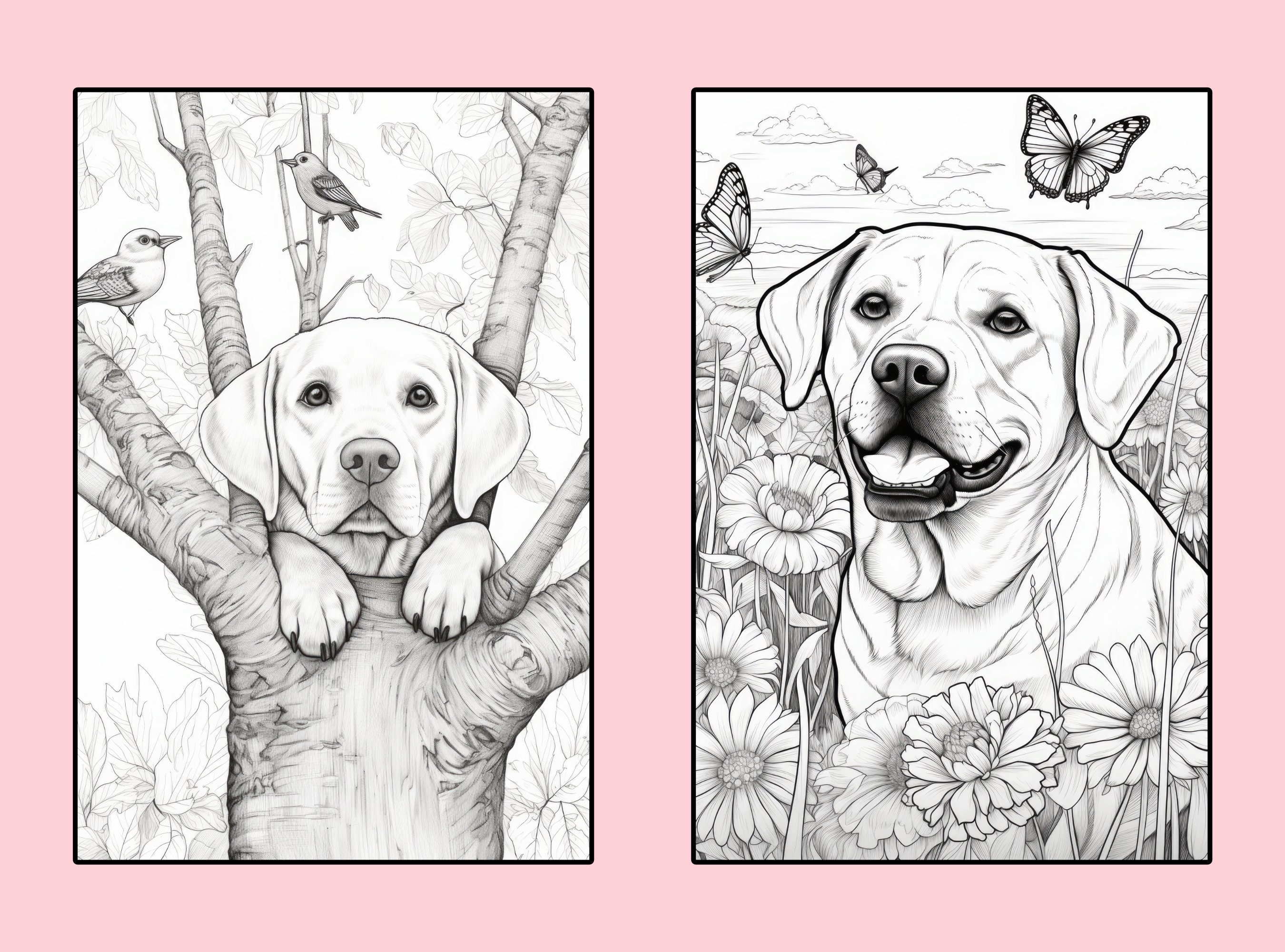 Labrador Retriever Coloring Pages, 50 Labrador Retriever Coloring