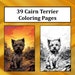 15 Akita Coloring Pages, Printable PDF Dog Coloring Pages, Coloring ...