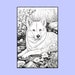 15 Akita Coloring Pages, Printable PDF Dog Coloring Pages, Coloring ...