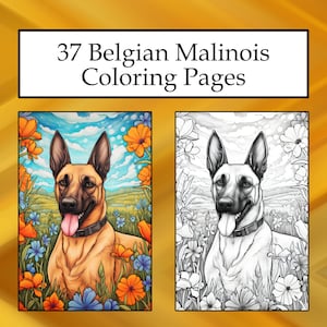 37 Belgian Malinois Coloring Pages, Printable PDF Dog Coloring Pages, Coloring Pack, Instant Download PDF Coloring Print