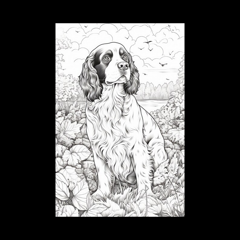 English Springer Spaniel Coloring Pages: 33 Dog Illustrations ...