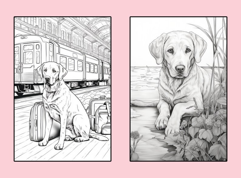Labrador Retriever Coloring Pages, 50 Labrador Retriever Coloring
