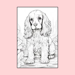 21 Cocker Spaniel Coloring Pages, Printable PDF Dog Coloring Pages ...